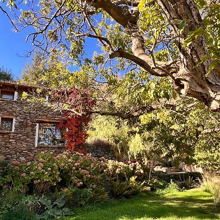 La Casa Del Nogal Villa Гехар-Сиера Екстериор снимка